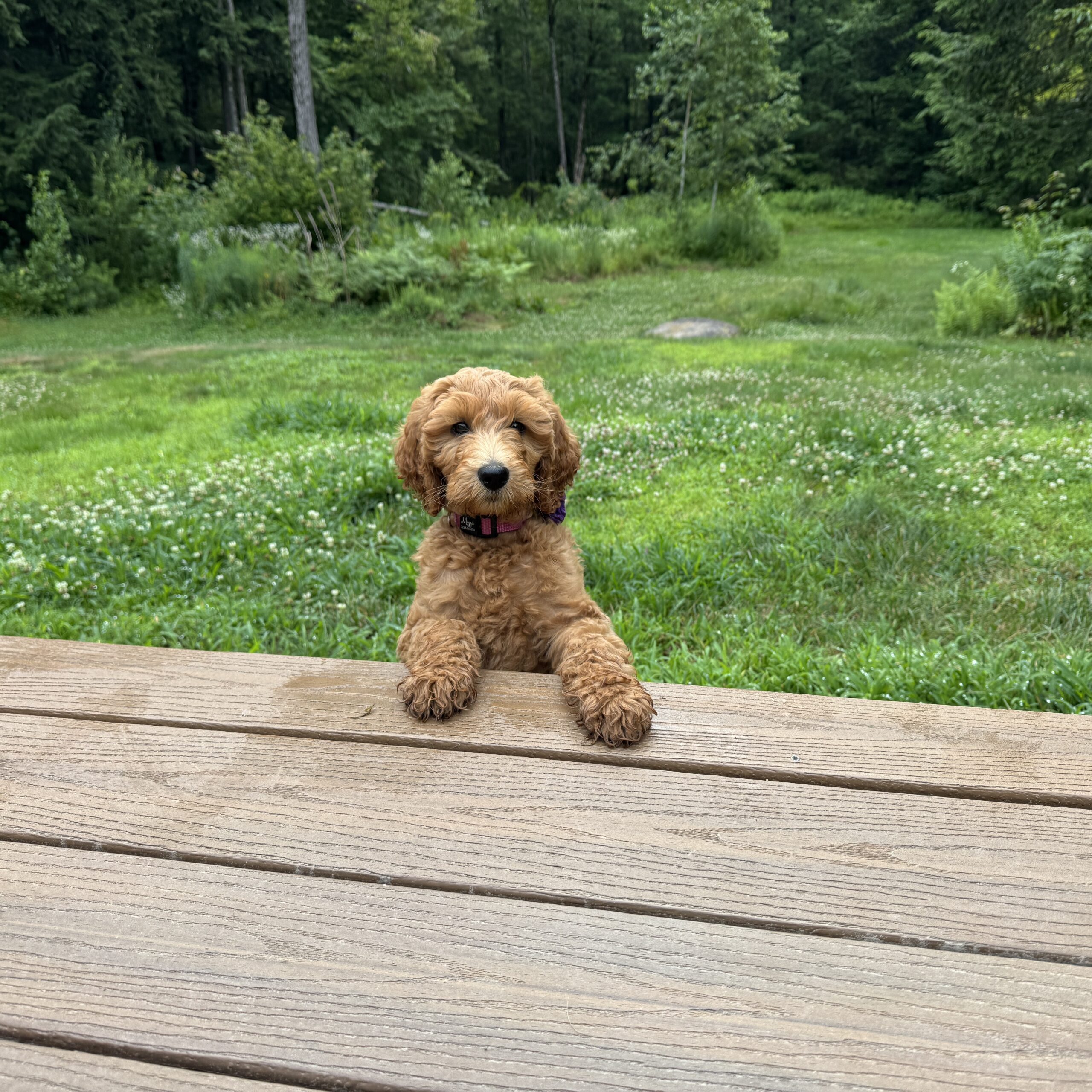 Maggie Rose Carter off deck