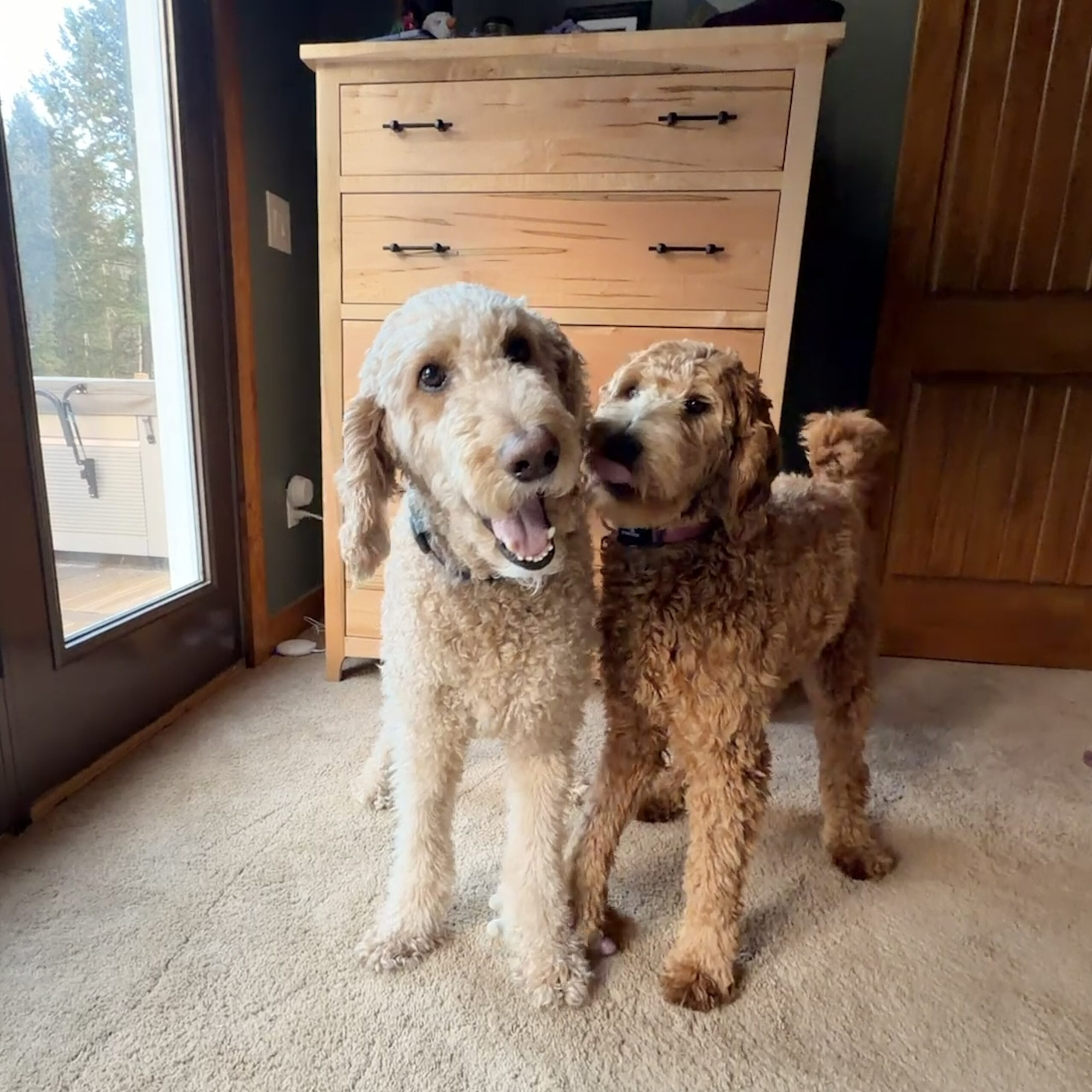 Maggie & Baxter Carter